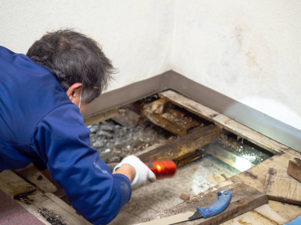 Best Water Damage Restoration  in Childress, TX