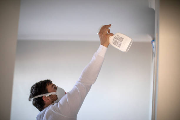 Childress, TX Mold Removal Company