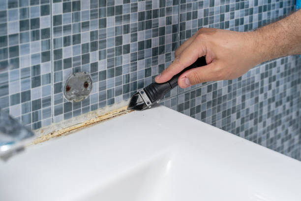 Best Mold Testing  in Childress, TX