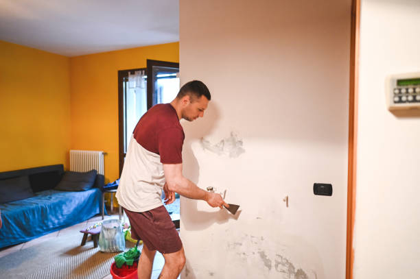 Best Commercial Mold Removal  in Childress, TX